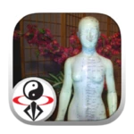 qigong for women (ymaa) android application logo